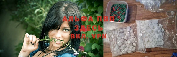 амф Беломорск