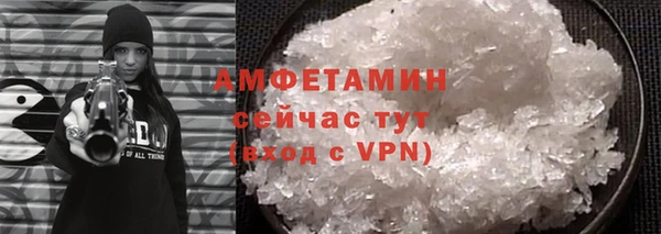 гидра Богданович