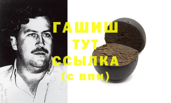 стаф Касимов