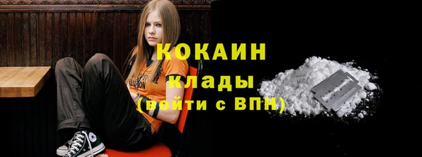 сатива Богородицк