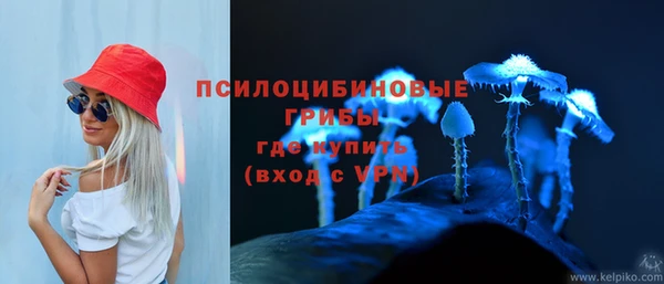 сатива Богородицк