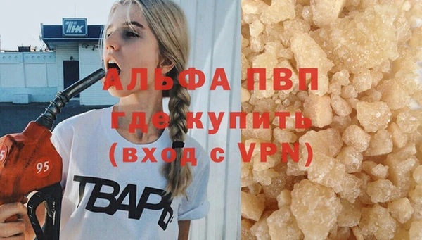 гидра Богданович