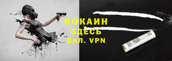 гидра Богданович