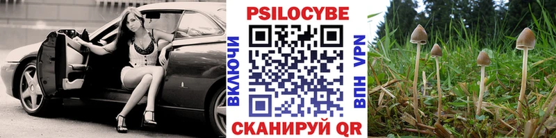 Псилоцибиновые грибы Cubensis  дарнет шоп  Великие Луки 