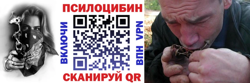 Галлюциногенные грибы Cubensis Великие Луки